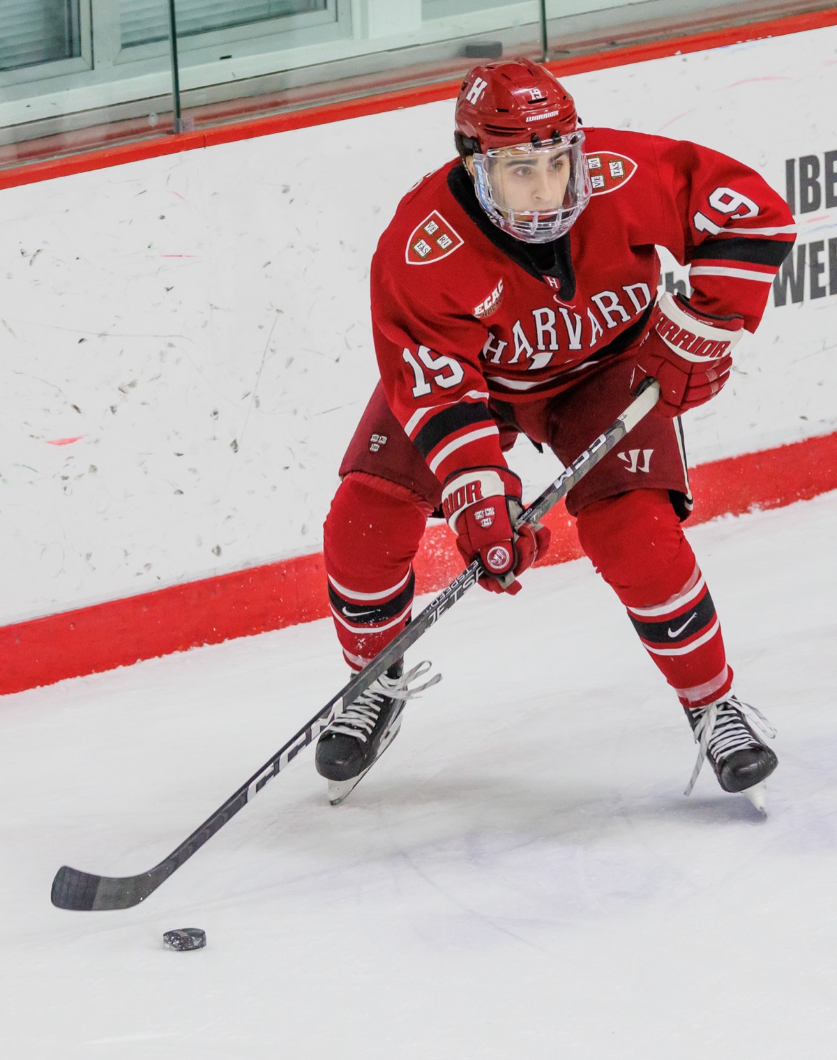 Matt Coronato carries the puck in a Harvard Crimson jersey, January 2023.